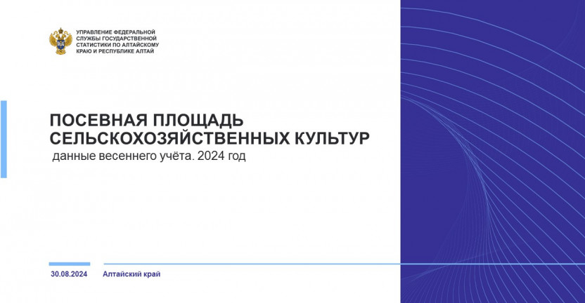 Посевная площадь сельскохозяйственных культур в Алтайском крае. Данные весеннего учёта. 2024 год